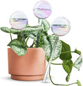 [3PCS] Light Iridescent Rainbow Gradient Color Clear Glass Self-Watering System Spikes, Automatic Plant Waterer Bulbs