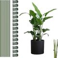 10pcs Green Plant Support Stakes with 15pcs Clips, Bendable Stakes for Tall Plants, Indoor & Outdoor Use