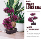 Cabilock Artificial Bonsai Tree, Fake Potted Bonsai Plants Decoration, Desktop Realistic Welcoming Pine Ornament for Home Office Entryway Chests Decor, Red (Purple)