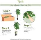 Nearly Natural 48in Artificial Dracaena with Real Touch Leaves and Multi Tonal Trunks, Large Indoor Silk Plant with Pot, Maintenance Free for Indoor Living Room and Home Office Decor