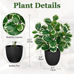 Villa Como 14.5" Artificial Plants Indoor Home Decor, Fake Potted Silk Plants for Shelves Living Room Decorative, Small Artificial Office Desk Plant in Pots, Faux Peperomia Hope Tropical House Plant