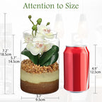 White Orchids Artificial Flowers with Vase, Small Faux Orchid Arrangement Fake Orchids Plant in Terrarium Jar Small White Orchid Centerpieces for Kitchen Dining Room Tables Bathroom Nightstand Decor