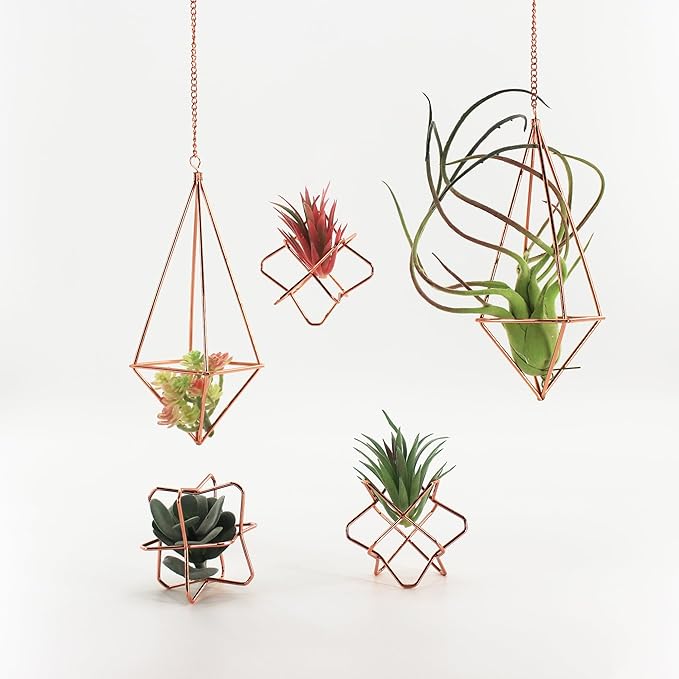 5Pcs Metal Air Plants Hanging Holders and Stands Set (2 Wall Hangers with Chains + 3 Table Stands), Rose Gold Geometric Home Decor for Windows/Wedding, 2.75 Inch Rust-Resistant Display Rack