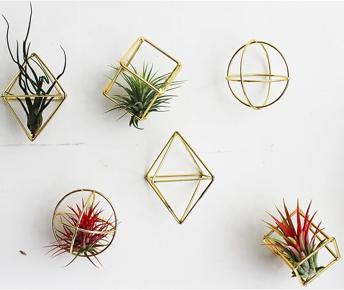 ZOOELAY Mini Air Plants Holders Metal Geometric Hanging Airplants Plant Hanger Airfens Display Stand Planter Hanging Airplants Frame Decor 6PCS