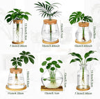 6 Pcs Plants Propagation Stations Glass Planter Terrariums with Wooden Lid and Bamboo Stand Desktop Propagation Vases Jars for Plant Growing Hydroponic Home Office Tabletop Garden Decoration