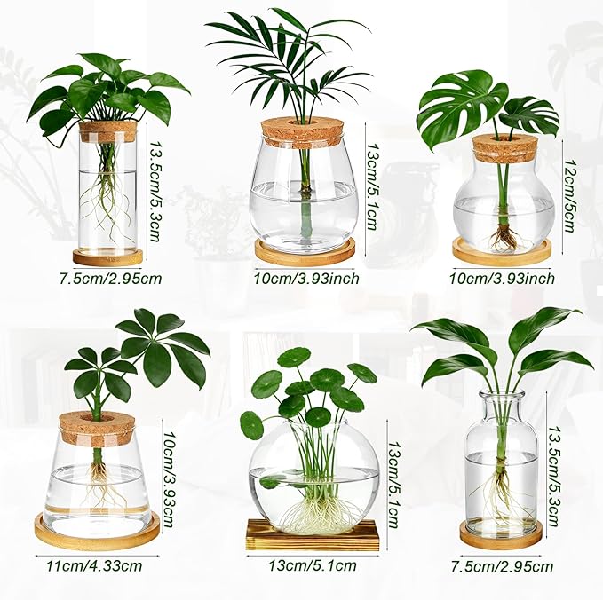 6 Pcs Plants Propagation Stations Glass Planter Terrariums with Wooden Lid and Bamboo Stand Desktop Propagation Vases Jars for Plant Growing Hydroponic Home Office Tabletop Garden Decoration