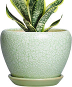 Ceramic Flower Pots - 6 Inch Plant Pot with Drainage Hole and Saucer, Modern Plant Pots for Indoor Succulent Plants, Round Indoor Planter, House Decor, Gardening Gifts, Crackle Light Green