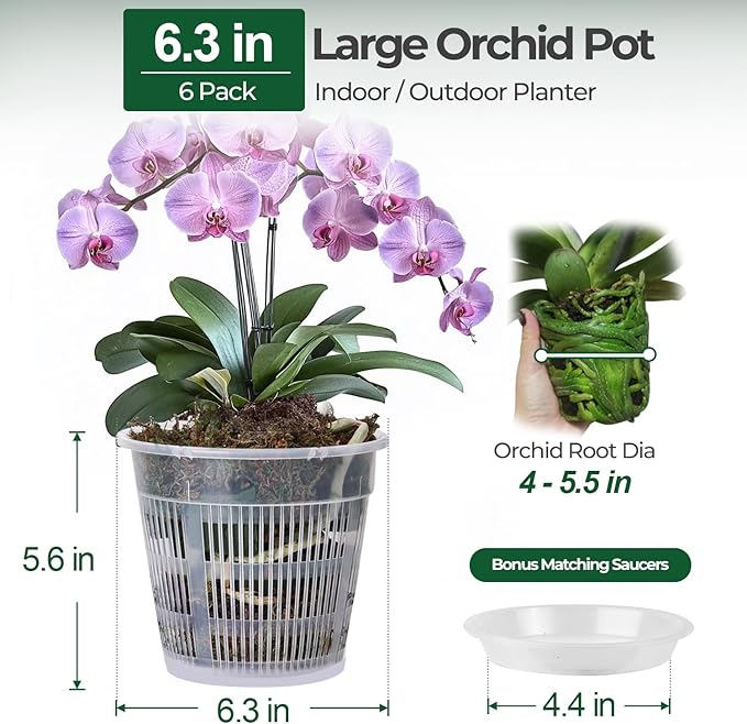 T4U Orchid Pot, 6 Pack 6.3 Inch Orchid Pots with Holes and Saucers, Clear Orchid Pots for Repotting, Plastic Flower Plant Pot for Indoor Outdoor Plants, Slotted Orchids Planter for Root Health