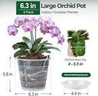 T4U Orchid Pot, 6 Pack 6.3 Inch Orchid Pots with Holes and Saucers, Clear Orchid Pots for Repotting, Plastic Flower Plant Pot for Indoor Outdoor Plants, Slotted Orchids Planter for Root Health