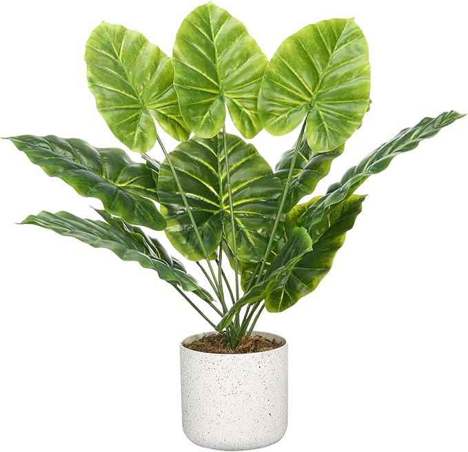 Set of 2 Indoor Artificial Fiddle Leaf Fig Trees – Realistic Green Faux Plants in Pots, Tall Decorative Fake Plant for Home or Office, Low Maintenance, 17.7 Inch Display-Ready