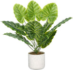 Set of 2 Indoor Artificial Fiddle Leaf Fig Trees – Realistic Green Faux Plants in Pots, Tall Decorative Fake Plant for Home or Office, Low Maintenance, 17.7 Inch Display-Ready