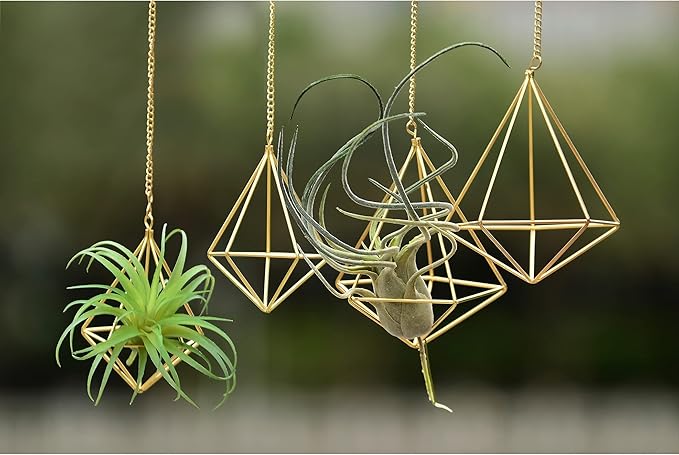 4 Pcs Geometric Himmeli Air Plant Holders - Metal Tillandsia Display Hangers with Chains, 2 Sizes (Small & Large) - Gold Home Decor, Housewarming Gift, Boho Wall or Ceiling Hanging Planter