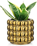 5 Inch Ceramic Planter Pot for Indoor Plants with Drainage Hole Bubble Flower Planter Hobnail Plant Pot Garden Planter Gold Succulent Plant Pot Utensil Holder