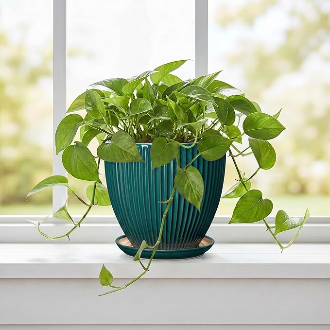 Ceramic Flower Pots, 6 Inch Planters with Drainage Hole and Saucer, Decorative Round Plant Pots for Indoor Plants, Modern Succulent Pot, Office Bedroom Decor, Plant Lover Gifts, Blackish Green