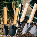 Ciieeo 10pcs Mini Gardening Tool Set for Succulent and Potted Planting with Wooden Handles, Soil Detecting Device, and Bonsai Accessories for Indoor and Outdoor Plant Care