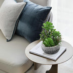 10” Large Succulents Plants Artificial in Ceramic Pots Potted Faux Succulent Arrangement with Black Bowl Pots Fake Desk Succulents Plants for Home Bathroom Shelf Table Indoor Decor