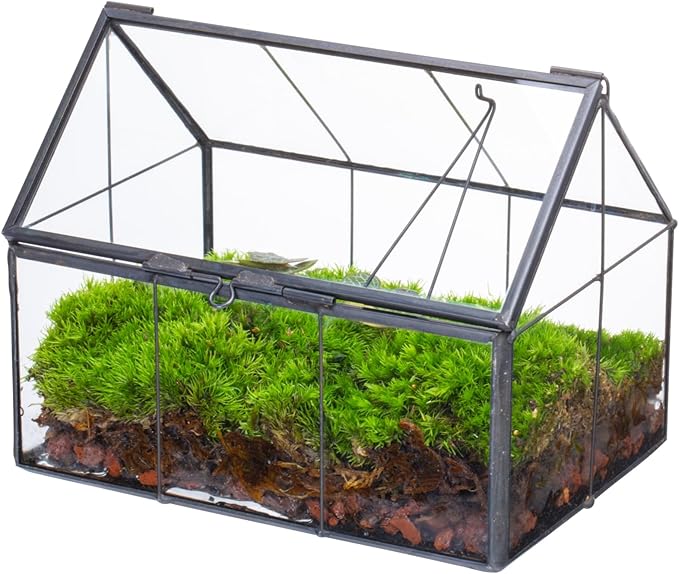 NCYP Mini Glass Terrarium with Lid - 6.1" x 4.25" x 4.92" House Shape Closed Planter Pot for Small Cactus, Succulents Plant - Home Garden Office Tabletop Geometric Decor, Black (Terrarium Only)