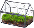 NCYP Mini Glass Terrarium with Lid - 6.1" x 4.25" x 4.92" House Shape Closed Planter Pot for Small Cactus, Succulents Plant - Home Garden Office Tabletop Geometric Decor, Black (Terrarium Only)
