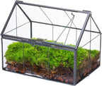 NCYP Mini Glass Terrarium with Lid - 6.1" x 4.25" x 4.92" House Shape Closed Planter Pot for Small Cactus, Succulents Plant - Home Garden Office Tabletop Geometric Decor, Black (Terrarium Only)