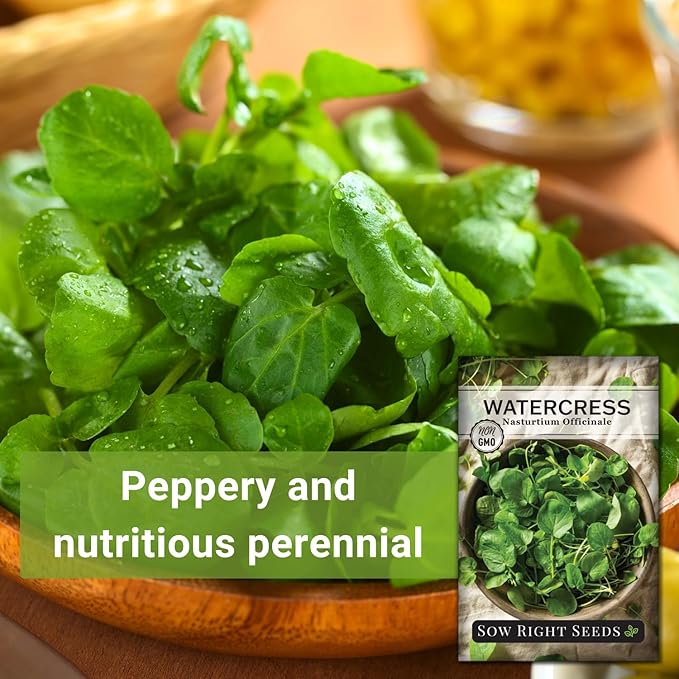 Sow Right Seeds - Watercress Seeds for Planting - Non-GMO Heirloom Packet with Instructions to Plant and Grow Home Garden - Fast-Growing Aquatic Vegetable with Edible Leaves - Fresh and Delicious