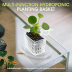 2 PCS Upgraded Aquarium Plant Holder, Adjustable Thickness Height Fish Tank Plant Holder with 2 Extension Hooks and 2 Suction Cups for Fish Tank Aquaponic (Transparent)