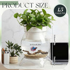 Geelin 1.5 Gallon Plastic Aquaponic Betta Fish Tank Aquaponic with Base and Top, Large Bowl Shatterproof Ecosystem Aquarium with Clear Clarity for Terrarium, Flower Vase Betta Fish Centerpiece Gifts
