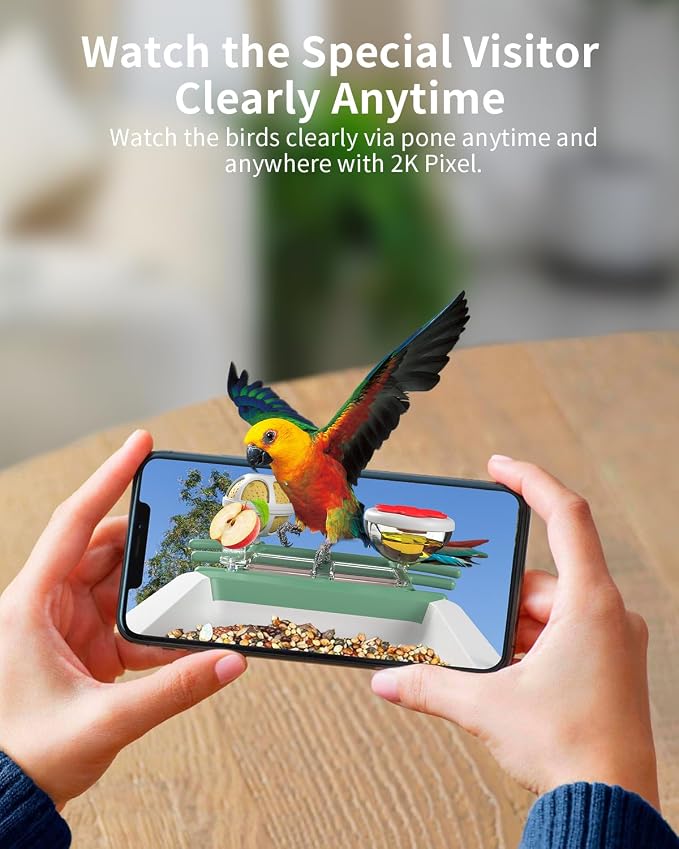 Bird Feeder with Camera, 2K Smart BirdCamera with Solar Powered, AI Identify Birds Species, Instant Arrival Alerts, 2.4Ghz WiFi Bird House for Outdoors, Ideal Gift for Family and Bird Lovers (Green)