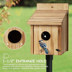 NATUREYLWL Outdoor Wooden Bird House, Birdhouse DIY Assembly Kit, Durable Bluebird Nesting Box with Cleaning Door, Weather-Resistant Garden Decor for Small Wild Birds