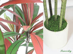 Artificial Dracaena Tree Red 5FT - Faux Trees Indoor with Natural Leaver and Resin Trunk- Large Floor Fake Trees for Living Room, Office Decor