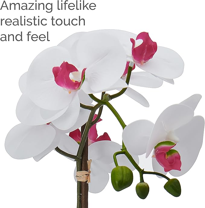 Mikasa Artificial Orchid in Pot, Real Touch Phalaenopsis Orchid, Faux Aged Cement Pot, 22-Inch Double Branch, White/Pink