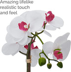 Mikasa Artificial Orchid in Pot, Real Touch Phalaenopsis Orchid, Faux Aged Cement Pot, 22-Inch Double Branch, White/Pink