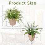 2 Pack Artificial Fern Potted Plant, Small Fake Plants in Pot, Faux Fern Plant for Home Office Farmhouse Living Room Bathroom Kitchen Tabletop Desk Shelf Decoration