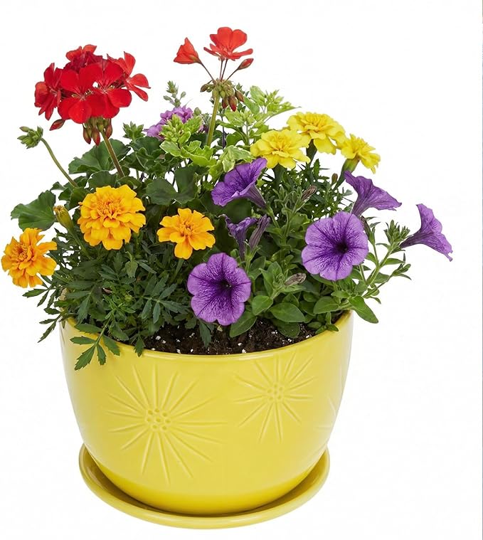 MyGift 7 Inch Round Yellow Ceramic Plant Pot with Drainage Hole and Attached Saucer, Modern Decorative Embossed Sunburst Planter Container for Indoor Home Garden