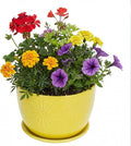 MyGift 7 Inch Round Yellow Ceramic Plant Pot with Drainage Hole and Attached Saucer, Modern Decorative Embossed Sunburst Planter Container for Indoor Home Garden