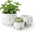 SHECIPIN Plant Pots for Indoor Plants Set of 3, 4+5.3+6.7 Inch Ceramic Plant Pots with Drainage Hole，Cute Garden Pots Succulent Pots with Saucer