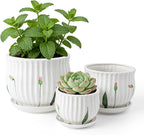 SHECIPIN Plant Pots for Indoor Plants Set of 3, 4+5.3+6.7 Inch Ceramic Plant Pots with Drainage Hole，Cute Garden Pots Succulent Pots with Saucer