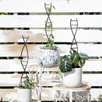 DNA Spiral Plant Trellis Indoor - Durable Metal Trellis for Potted Plants, Perfect for Small Houseplant Pots, Ideal for Ivy and Pothos, Space-Saving Vertical Support for Climbing Growth