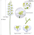 Fnize Faux Orchid Stems Real Touch Artificial Phalaenopsis Flowers Latex Petals 38 Inches 2pcs (Green White)