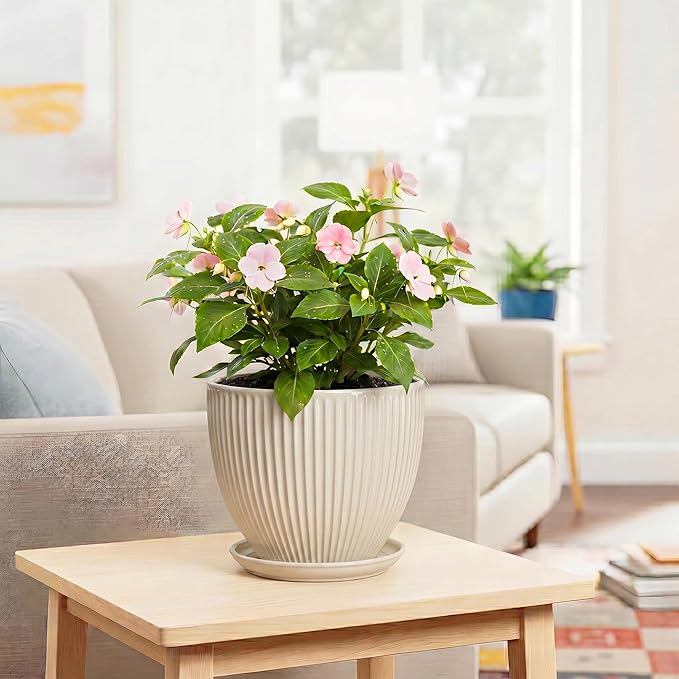 Ceramic Flower Pots, 8 Inch Plant Pot with Drainage Hole and Saucer, Modern Planters for Indoor Plants, Round Indoor Pots for Plants, Office Home Decor, Plant Lover Gifts, Cream White