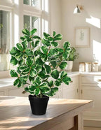 20" Artificial Rubber Tree Plant in Black Pot, Faux Ficus Tree Plant Potted with Cream White Edge Leaves, Fake Greenery Plant for Home Office Tropical Decor