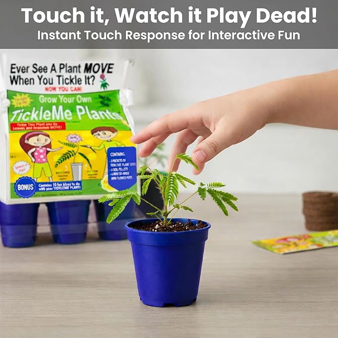 TickleMe Plant Deluxe Family Greenhouse Kit – Grow the Playful Plant that Closes Its Leaves When Tickled! Includes Mini Greenhouse, 3 Seed Packets, Soil Pellets & Pots – Fun Indoor Gardening Gift