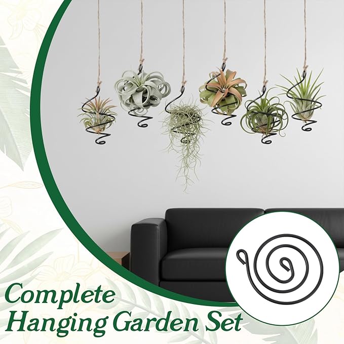 6 Pack Air Plants Live Holders Hanging Air Plant Holder Adjustable Rust-Resistant Iron Rings With Jute Ropes Soilless Stand Display Container For Tillandsia Succulents Home Office Decor Black
