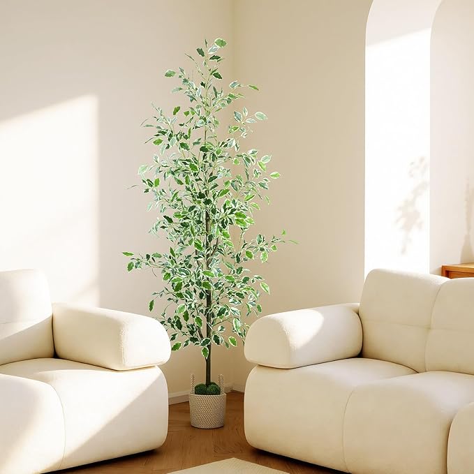 Caxchiling Fake Ficus Tree 6FT,Artificial Floor Plants for Indoor Outdoor, Lifelike Potted Tree with Moss Topper and Cotton Basket, Home Office Living Room Bedroom Doorway Decor (White-Edged Leaves)