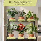 Rosy Soil Aroid Soil Potting Mix - Peat-Free, Microbially Active Biochar Powered Soil for Aroids - Superior Aeration & Drainage for Aroid Plants - Ideal for Indoor Gardening - 4 Quarts