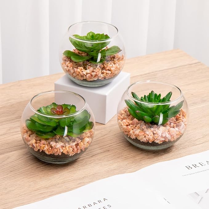 Briful Mini Fake Plants 3 Packs Artificial Succulents Plants in Round Glass Vase Cute Faux Succulents for Bathroom Kitchens Shelf Table Decor