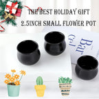 SHECIPIN 8 Pack Succulent Plant Pot, Matte Black Mini 2.6 inch Ceramic Flower Planter Pot with Bamboo Tray, Small Pots for Plants, Plants Not Included