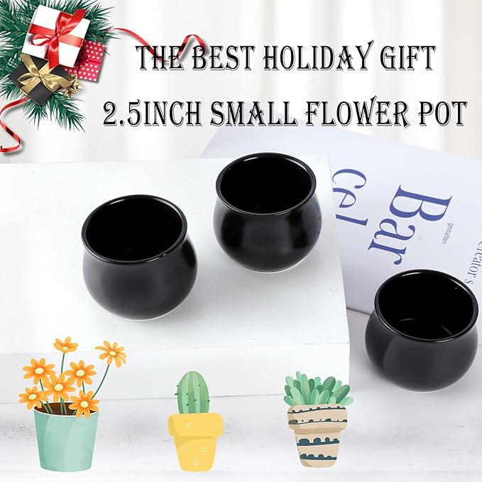 SHECIPIN 8 Pack Succulent Plant Pot, Matte Black Mini 2.6 inch Ceramic Flower Planter Pot with Bamboo Tray, Small Pots for Plants, Plants Not Included
