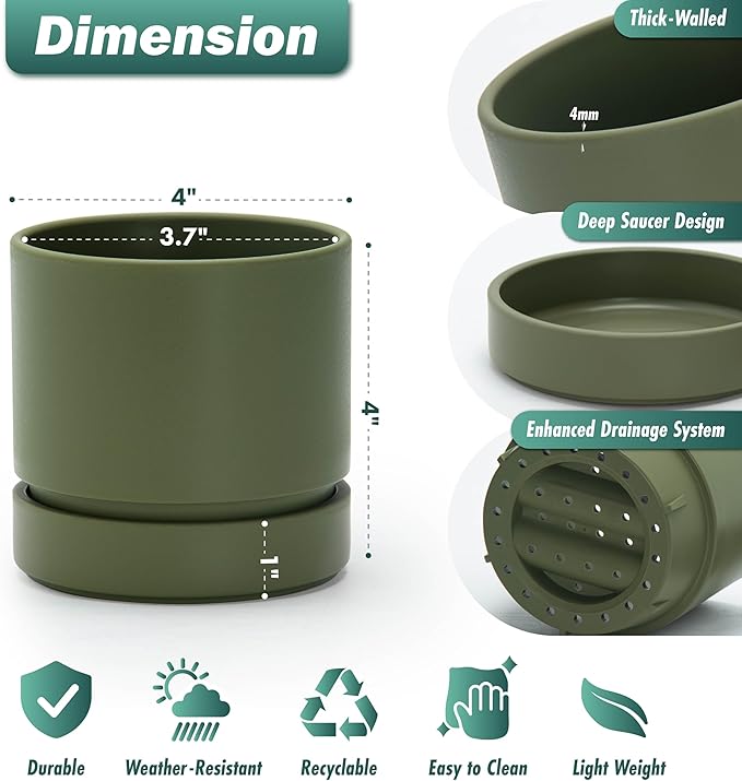 Phoenix Vine 4 Inch Planter Pot with Drainage Hole & Saucer, Deep Water Catch Tray, Straight Cylindrical Round Pot for Plants, Olive, Pack of 6, 23-F-R-6