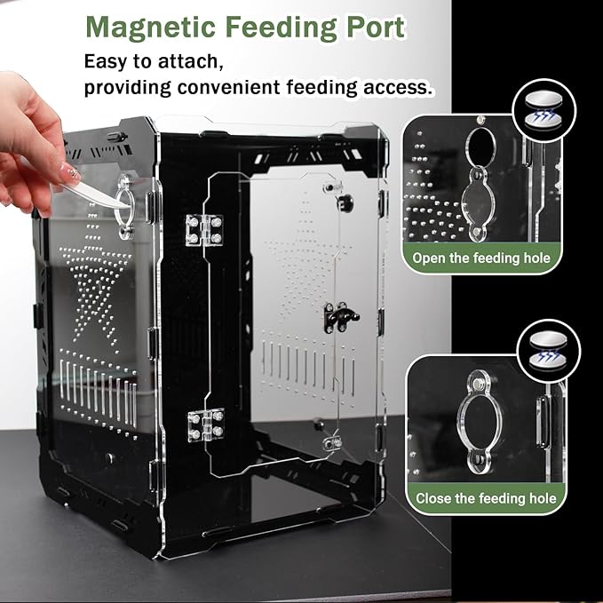 Acrylic Terrarium 14x10x10 Inch – Front Opening Reptile Enclosure with Magnetic Feeder – Escape-Proof Habitat for Arboreal Tarantulas, Scorpions & Geckos