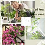 BENECREAT 3 Pack U-Shaped Acrylic Plant Trellis, 3 Size Small Plant Trellis for Potted Plants with Crystal Suncatcher for Home Window Garden, 205~310mm Long